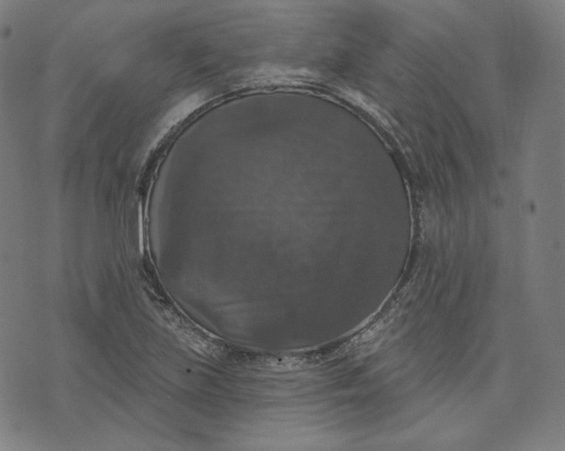 X0000070341219200606231524