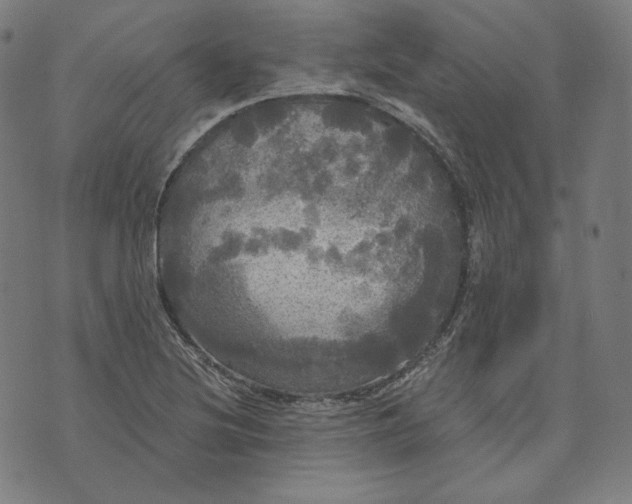 X0000070341220200606231524