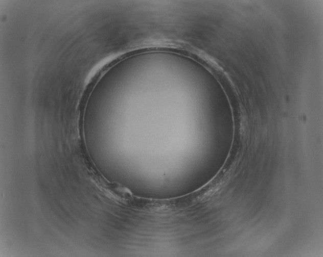 X0000070341222200606231524