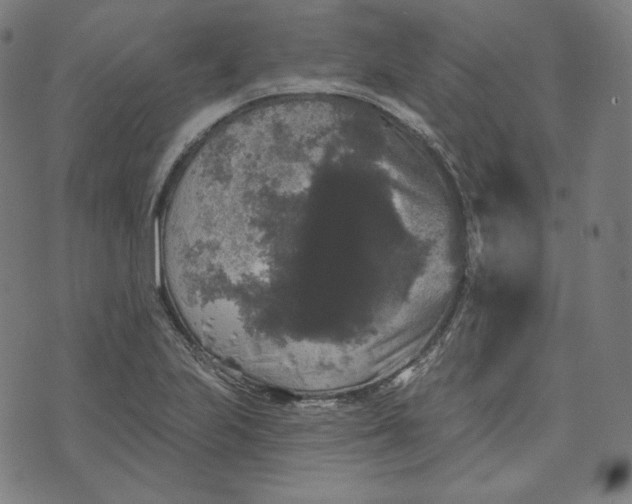 X0000070341223200606231524