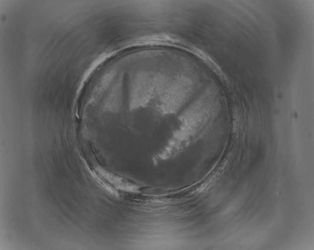 X0000070341224200606231524