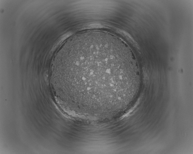 X0000070341225200606231524