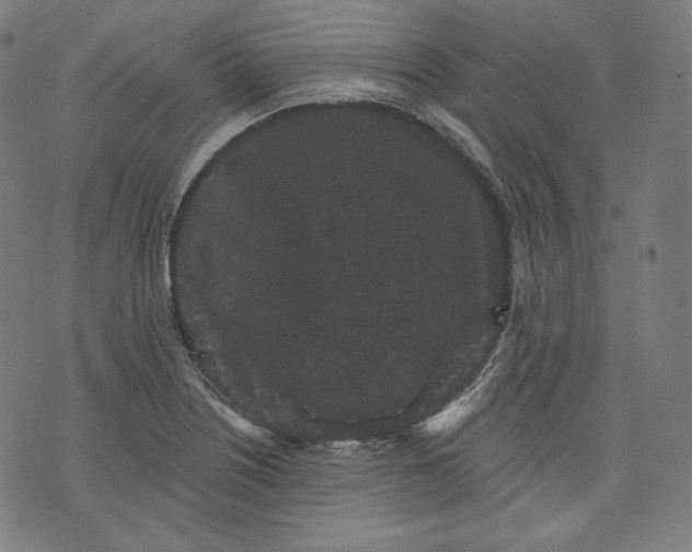 X0000070341226200606231524