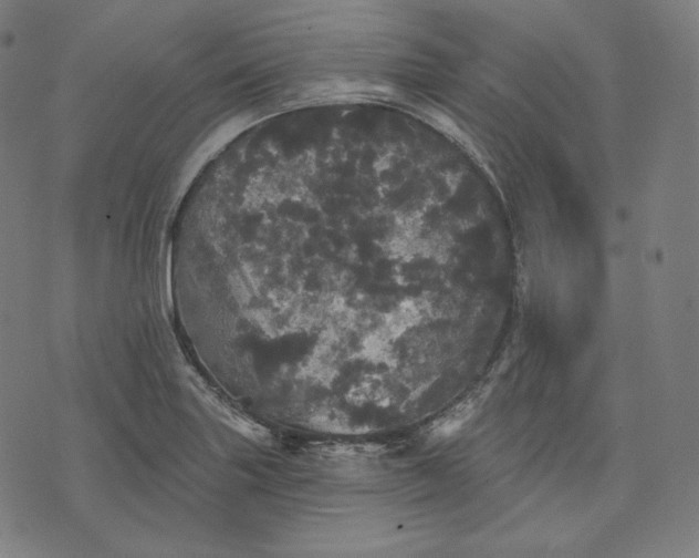 X0000070341227200606231524