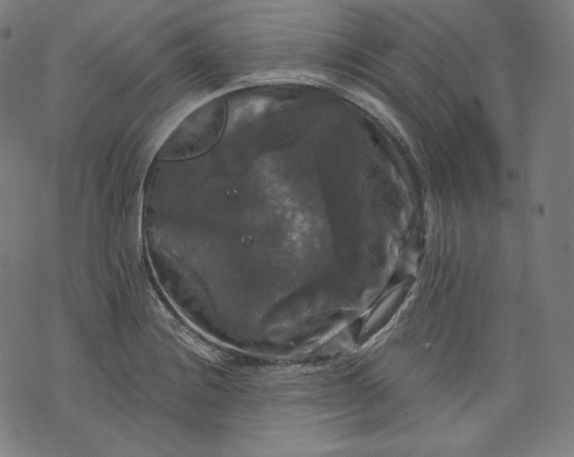 X0000070341228200606231524