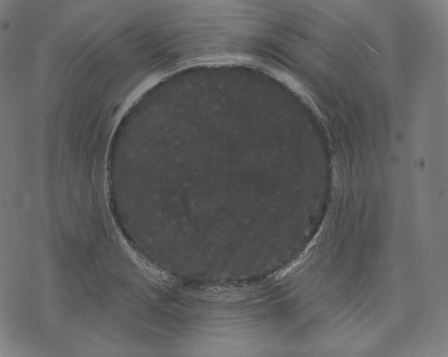 X0000070341229200606231524