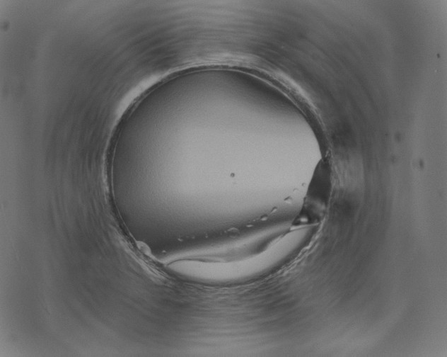 X0000070341230200606231524