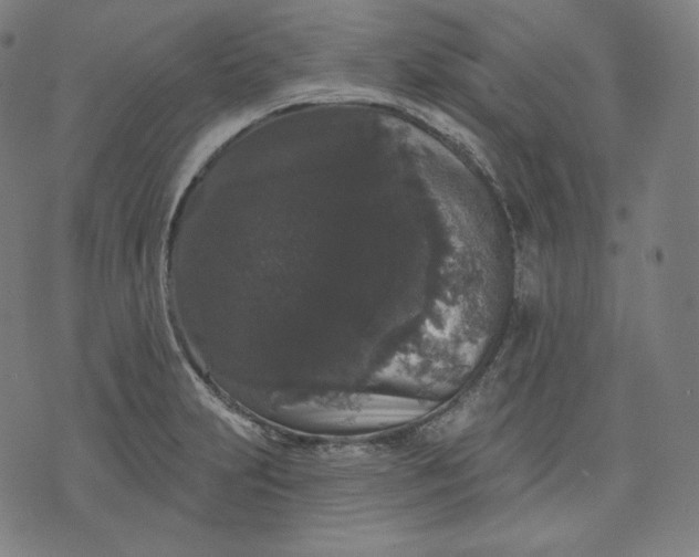 X0000070341231200606231524