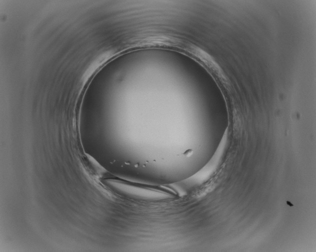 X0000070341234200606231524