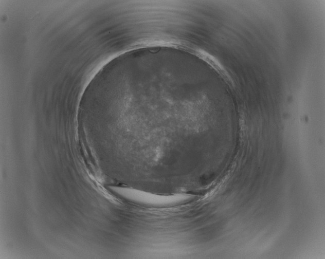 X0000070341236200606231524