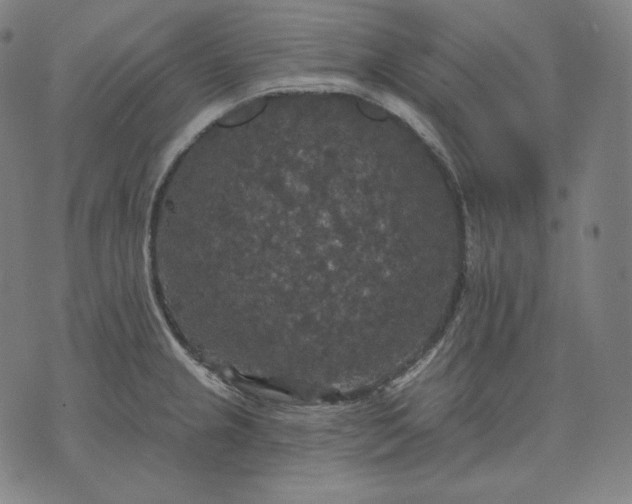 X0000070341237200606231524