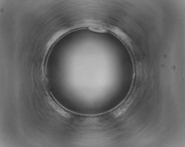 X0000070341238200606231524