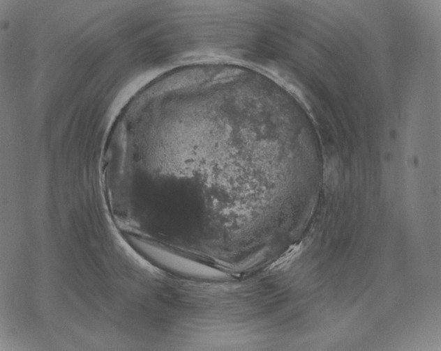 X0000070341239200606231524