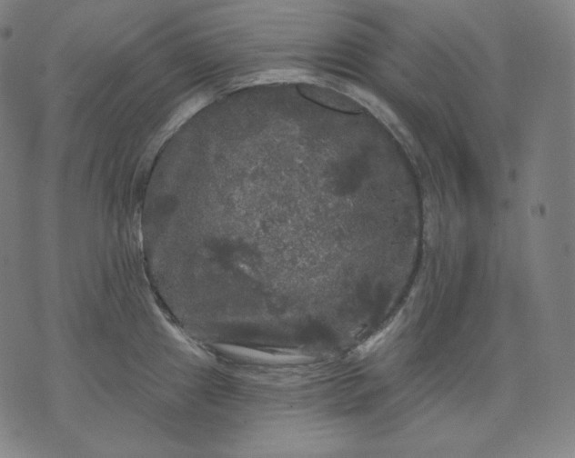 X0000070341241200606231524