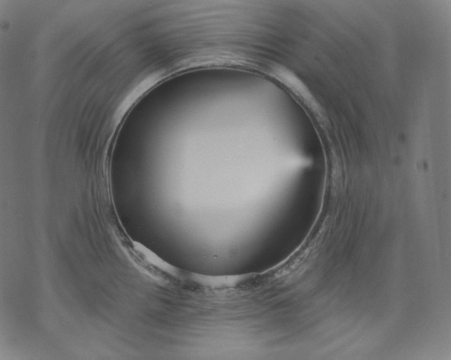 X0000070341242200606231524