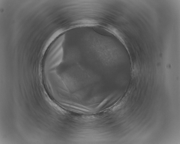 X0000070341243200606231524