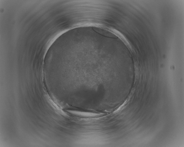 X0000070341244200606231524