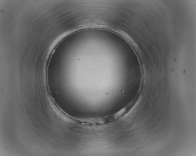 X0000070341246200606231524