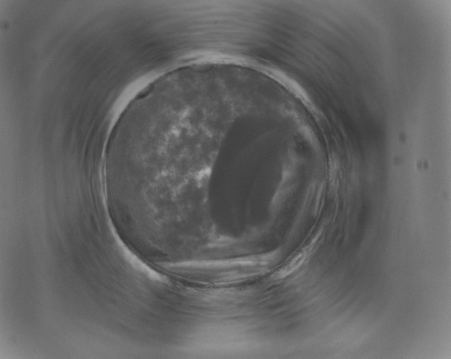 X0000070341247200606231524