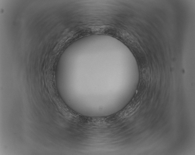 X0000070341249200606231523