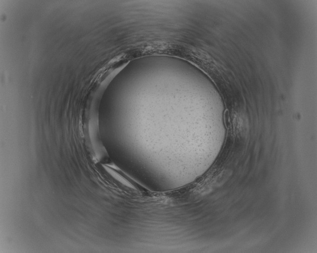 X0000070341250200606231523