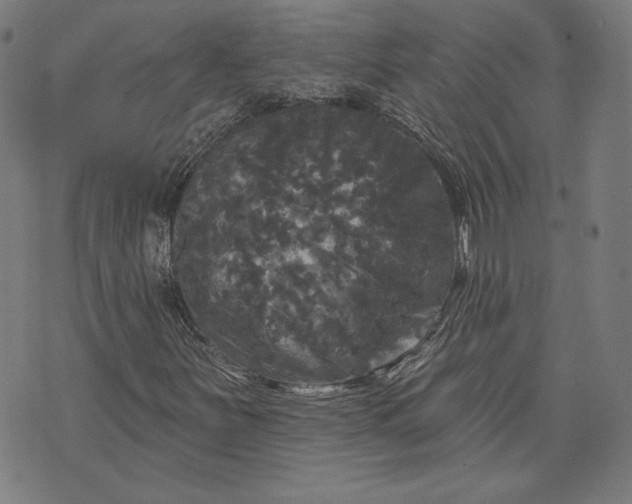 X0000070341251200606231523