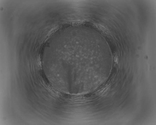 X0000070341252200606231523