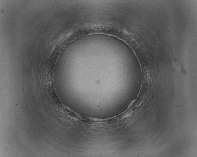 X0000070341253200606231523