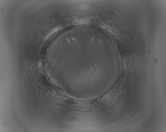 X0000070341254200606231523