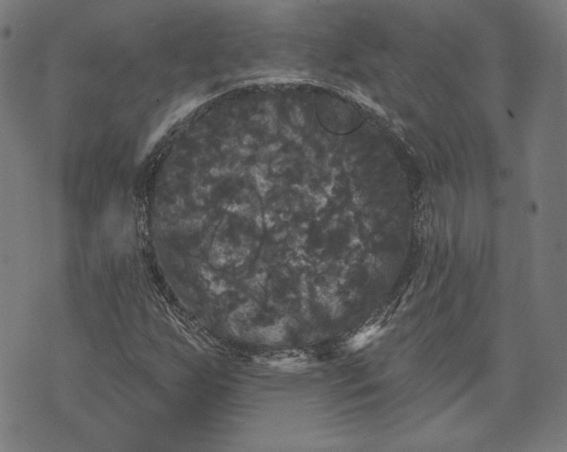 X0000070341255200606231523