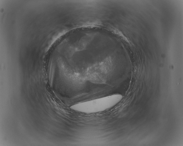 X0000070341256200606231523