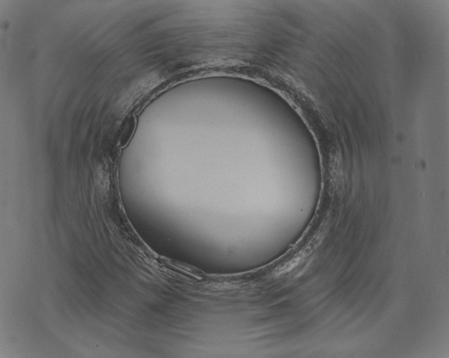 X0000070341257200606231523