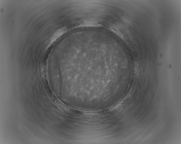 X0000070341258200606231523