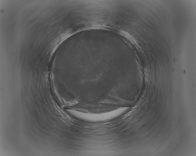 X0000070341260200606231523