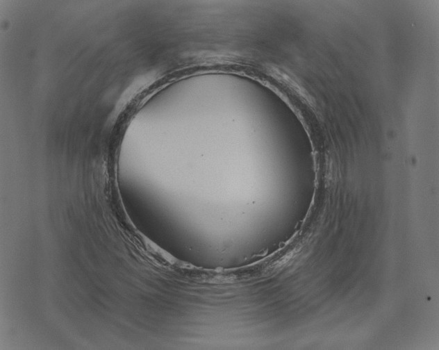 X0000070341261200606231523