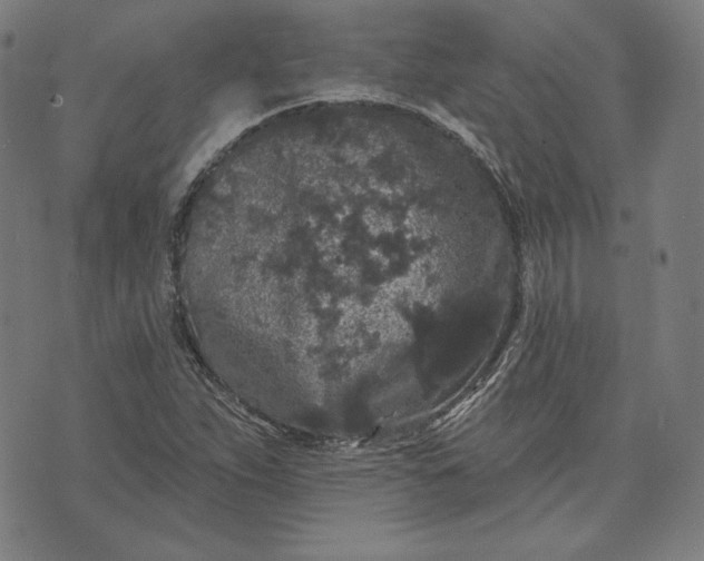 X0000070341263200606231523