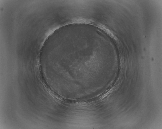 X0000070341264200606231523