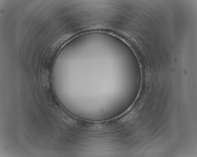 X0000070341265200606231523