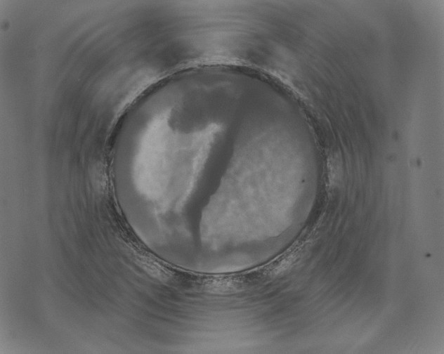 X0000070341266200606231523