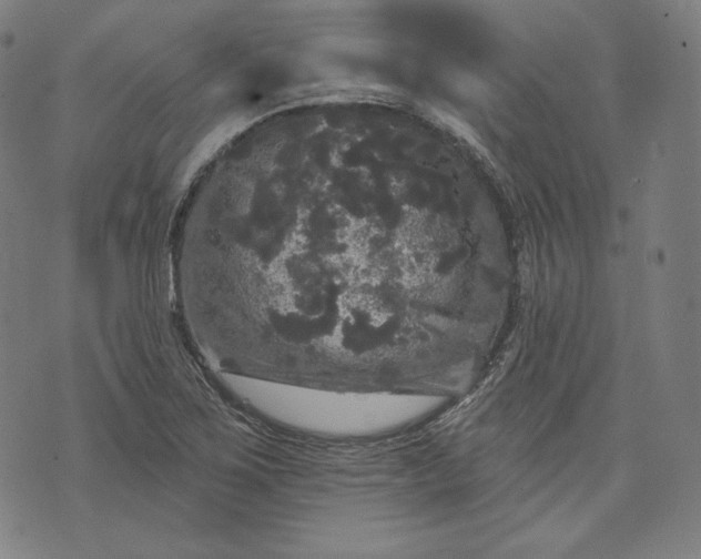 X0000070341267200606231523