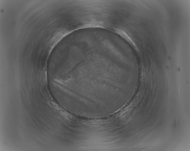 X0000070341268200606231523