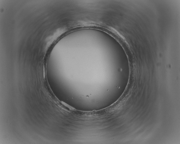 X0000070341269200606231523