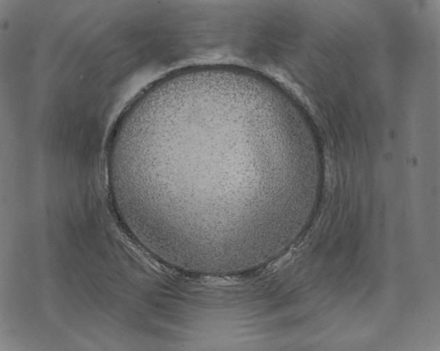 X0000070341270200606231523