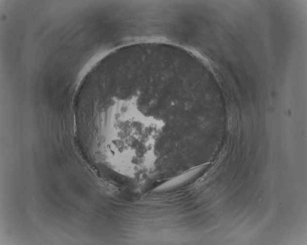 X0000070341271200606231523