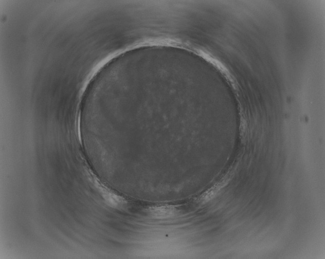 X0000070341272200606231523