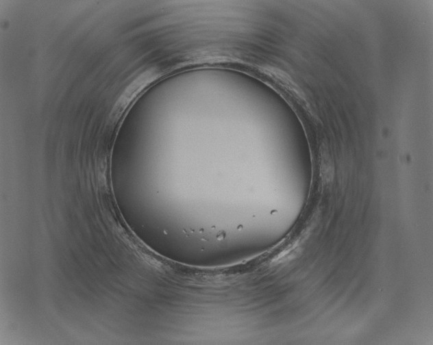 X0000070341273200606231523