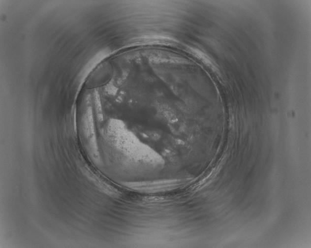 X0000070341275200606231523