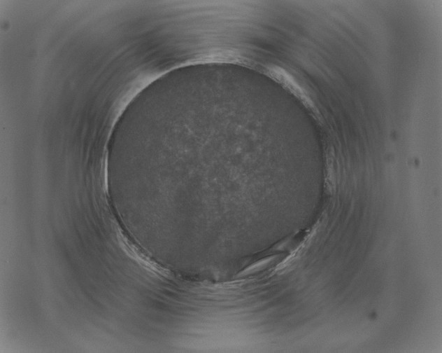 X0000070341276200606231523