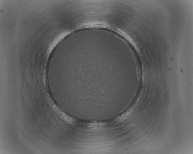 X0000070341277200606231523