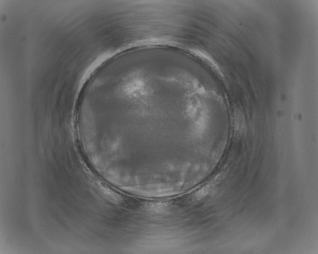 X0000070341278200606231523